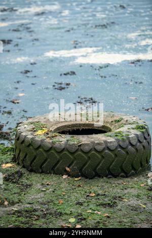 Alte Reifen sind bei Ebbe an einem Strand gestrandet, Traktor- oder LKW-Reifen wurden entsorgt und an einem matschigen Strand gespült. Stockfoto