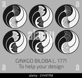 Satz von Vektorillustrationen von Ginkgo biloba-Blättern mit heiliger Geometrie-Methode im Yin Yang-Stil. Hilfe für den Konstrukteur. Stock Vektor