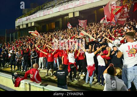 Salerno, Italien. November 2024. Anhänger des SSC Bari während des Spiels der Serie B zwischen den USA Salernitana und SSC Bari im Stadio Arechi, Salerno, Italien am 10. November 2024. Quelle: Nicola Ianuale/Alamy Live News Stockfoto