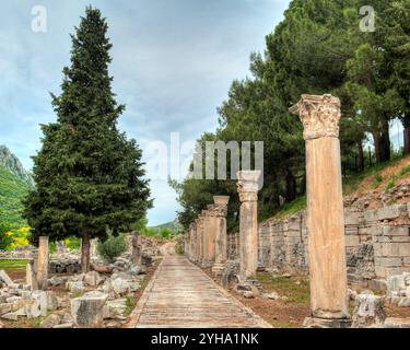 Malerische Aussicht auf einen alten Steinweg gesäumt von korinthischen Säulen und umgeben von Bäumen in den historischen Ruinen von Ephesus, Türkei. Stockfoto