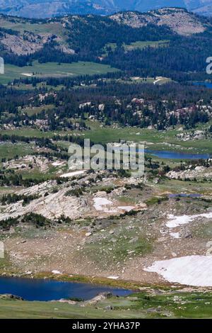 Gletscherseen verstreut in den Beartooth Mountains entlang des Beartooth Highway. Shoshone National Forest, Wyoming Stockfoto