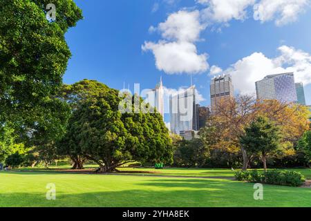 Royal Botanic Garden of Sydney. Der Garten wurde 1816 eröffnet und ist die älteste wissenschaftliche Einrichtung Australiens. Stockfoto