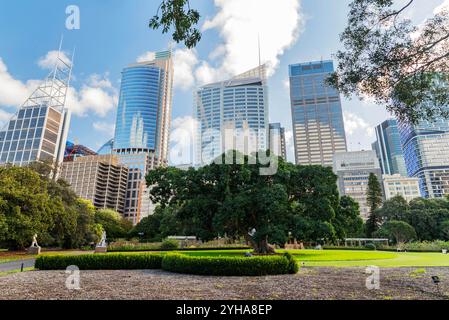 Royal Botanic Garden of Sydney. Der Garten wurde 1816 eröffnet und ist die älteste wissenschaftliche Einrichtung Australiens. Stockfoto