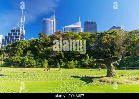 Royal Botanic Garden of Sydney. Der Garten wurde 1816 eröffnet und ist die älteste wissenschaftliche Einrichtung Australiens. Stockfoto