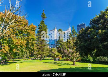 Royal Botanic Garden of Sydney. Der Garten wurde 1816 eröffnet und ist die älteste wissenschaftliche Einrichtung Australiens. Stockfoto