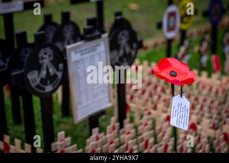 London, Großbritannien. November 2024. Während der Cenotaph Parade 2024 am Gedenktag wird in der Westminster Abbey ein Denkmal mit Mohnblumen und Kreuzen ausgestellt. Am Sonntag, den 10. November, fand der National Service of Remembrance im Cenotaph in Whitehall, London, statt. Ab 11:00 Uhr gedachte der Gottesdienst an den Beitrag der britischen und Commonwealth-Militär- und Zivilsoldaten und Frauen, die an den beiden Weltkriegen und späteren Konflikten beteiligt waren. (Credit Image: © Loredana Sangiuliano/SOPA Images via ZUMA Press Wire) NUR REDAKTIONELLE VERWENDUNG! Nicht für kommerzielle ZWECKE! Stockfoto