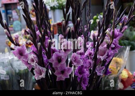 Bunte Blumensträuße zum Verkauf in der Plaza Tirso de Molina am Allerheiligen in Madrid, Spanien. Stockfoto