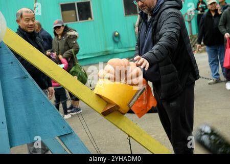 New York, USA. November 2024. Atmosphäre im 2024 Pumpkin Smash im Queens Botanical Garden in Flushing, NY am 10. November 2024. (Foto: Efren Landaos/SIPA USA) Credit: SIPA USA/Alamy Live News Stockfoto