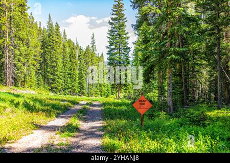 Wanderweg Royal Elk to Beaver Lake im Skigebiet Beaver Creek in Colorado mit Fichtenwald, Schild für Sackgasse im Sommer Stockfoto