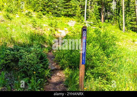 Wandern Sie im Skigebiet Beaver Creek in Colorado mit Fichtenwald und Wegweisern mit Hinweisschildern zum Wegweiser mit Informationen Stockfoto