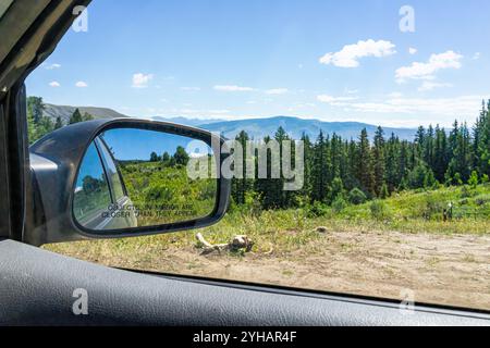 Eagle County Castle Peak Park in Colorado mit Nadelbäumen und Blick auf die Landschaft vom Rückfahrfenster in der Nähe des Emerald Lake Stockfoto