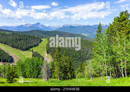 Vail Sommer im Skigebiet mit Wanderweg in Colorado mit Berggipfeln und dem Berg des heiligen Kreuzes in der Wildnis Stockfoto