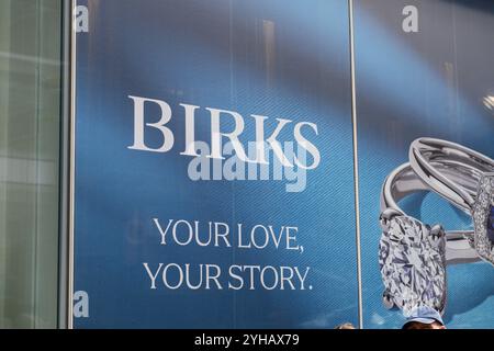 Toronto, ON, Kanada – 29. Juli 2024: „View at Birks Store“-Schild in Toronto Stockfoto