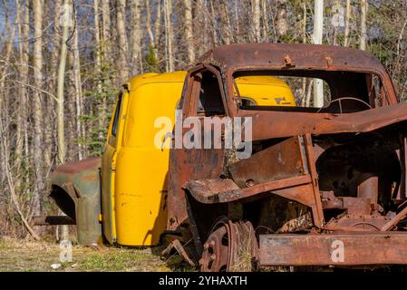 Rostige verlassene alte Trucks in Vintage-Motiven mit borealem Wald und schneebedeckten Bergen im Hintergrund. Aufgenommen in Yukon, Kanada. Stockfoto