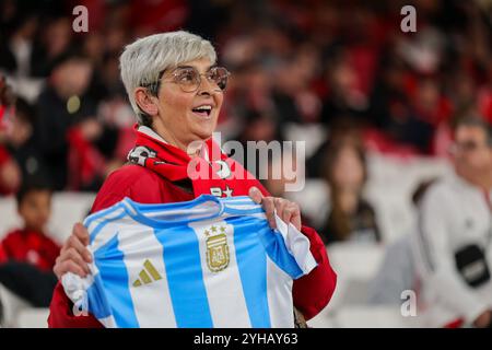 Lisboa, Portugal. November 2024. Estadio da Luz, Primeira Liga 2024/2025, FC Porto gegen Sporting; SL Benficas Fan, zeigt ein argentinisches Nationalmannschaftstrikot während eines Spiels zwischen SL Benfica und FC Porto für die Primeira Liga 2024/2025 im Estadio da Luz in Lisboa am 10. November 2024. Foto: Roberto Zacarias/DiaEsportivo/Alamy Live News Credit: DiaEsportivo/Alamy Live News Stockfoto