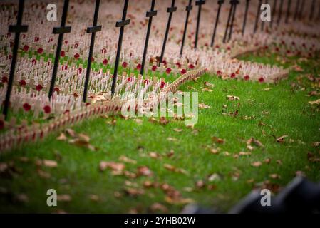 London, Großbritannien. November 2024. Ein Denkmal mit Mohnblumen und großen und kleinen Kreuzen wird während der Cenotaph Parade 2024 in der Westminster Abbey ausgestellt. Am Sonntag, den 10. November, fand der National Service of Remembrance im Cenotaph in Whitehall, London, statt. Ab 11:00 Uhr gedachte der Gottesdienst an den Beitrag der britischen und Commonwealth-Militär- und Zivilsoldaten und Frauen, die an den beiden Weltkriegen und späteren Konflikten beteiligt waren. Quelle: SOPA Images Limited/Alamy Live News Stockfoto