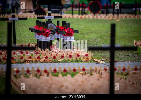 London, Großbritannien. November 2024. Während der Cenotaph Parade 2024 am Gedenktag wird in der Westminster Abbey ein Denkmal mit Mohnblumen und Kreuzen ausgestellt. Am Sonntag, den 10. November, fand der National Service of Remembrance im Cenotaph in Whitehall, London, statt. Ab 11:00 Uhr gedachte der Gottesdienst an den Beitrag der britischen und Commonwealth-Militär- und Zivilsoldaten und Frauen, die an den beiden Weltkriegen und späteren Konflikten beteiligt waren. Quelle: SOPA Images Limited/Alamy Live News Stockfoto