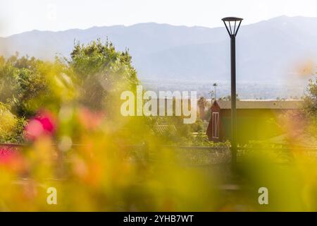 Die Nachmittagssonne scheint auf Blumen und Straßenlaternen in einem Viertel von Nroco, Kalifornien, USA. Stockfoto