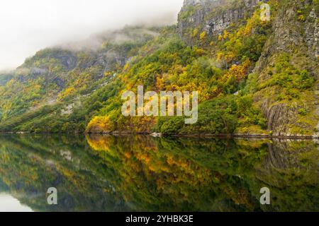 Herbstfarben auf der Felswände, die sich im Wasser des Aurlandsfjords bei Flam widerspiegeln, ist dieser Fjord ein innerer Arm des sognefjords Stockfoto