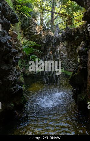 Der friedliche Wasserfall fließt sanft in einen ruhigen Teich, eingerahmt von lebhaftem Laub. Stockfoto