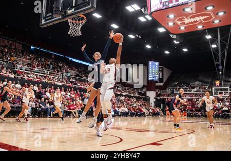 Palo Alto CA, USA. November 2024. A. Stanford Wachmann Chloe Clardy (13) fährt während des NCAA/ACC Women's Basketball Spiels zwischen Gonzaga Bulldogs und dem Stanford Cardinal zum Basketball. Stanford schlug Gonzaga 89-58 im Maples Pavilion Stanford, CA. Thurman James /CSM/Alamy Live News Stockfoto