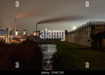 Drimmelen. Gewächshäuser im Gewächshausbereich des Plukmadese Polders bei Nacht. Der Himmel wird durch Lichter in einigen Gewächshäusern und Lichter im nahegelegenen Industriepark Weststad in Oosterhout gefärbt. Zwischen den Gewächshäusern zwei Schornsteine mit einer Rauchwolke. Das Gewächshaus erhält Wärme auch über das Wärmenetz von Ennatuurlijk mit heißem Wasser aus dem Kraftwerk Amer. ANP / Hollandse Hoogte / Eugene Winthagen niederlande aus - belgien aus Stockfoto