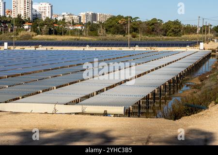 Photobioreaktoren und Solarpaneele im Öko-Gewerbepark algatec produzieren Algen und Mikroalgen nachhaltig Stockfoto