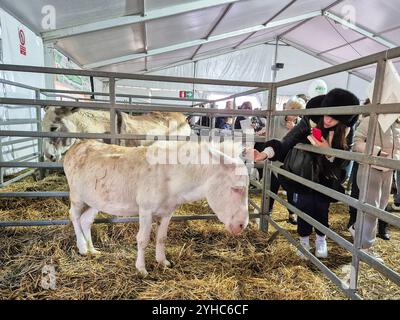 Italien, Inveruno, Antica Fiera di San Martino, Ancient Fair of San Martino, Tiermesse Stand Stockfoto