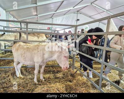 Italien, Inveruno, Antica Fiera di San Martino, Ancient Fair of San Martino, Tiermesse Stand Stockfoto