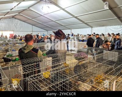 Italien, Inveruno, Antica Fiera di San Martino, Ancient Fair of San Martino, Tiermesse Stand Stockfoto