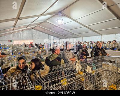 Italien, Inveruno, Antica Fiera di San Martino, Ancient Fair of San Martino, Tiermesse Stand Stockfoto