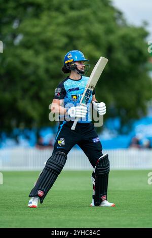 Adelaide, Australien. November 2024. Adelaide, Australien, 11. November 2024: Laura Wolvaardt (14 Adelaide Strikers) wärmt sich während des Spiels der Weber Womens Big Bash League 10 zwischen Adelaide Strikers und Melbourne Renegades im Karen Rolton Oval in Adelaide, Australien auf (Noe Llamas/SPP). /Alamy Live News Stockfoto