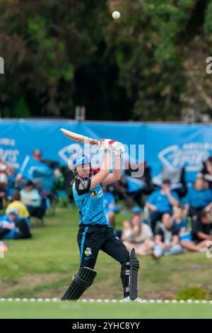 Adelaide, Australien. November 2024. Adelaide, Australien, 11. November 2024: Tahlia McGrath (9 Adelaide Strikers) Fledermäuse während des Spiels der Weber Womens Big Bash League 10 zwischen Adelaide Strikers und Melbourne Renegades im Karen Rolton Oval in Adelaide, Australien (Noe Llamas/SPP) Credit: SPP Sport Press Photo. /Alamy Live News Stockfoto