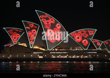 Sydney, Australien. November 2024. Das Opernhaus von Sydney wurde zum Gedenktag von 20:00 Uhr bis Mitternacht mit Mohnblumen beleuchtet. Richard Milnes/Alamy Live News Stockfoto