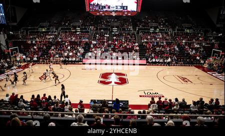 Palo Alto CA, USA. November 2024. A. Stanford wurde vor dem NCAA/ACC Women's Basketball Spiel zwischen Gonzaga Bulldogs und dem Stanford Cardinal enthüllt. Stanford schlug Gonzaga 89-58 im Maples Pavilion Stanford, CA. Thurman James /CSM/Alamy Live News Stockfoto