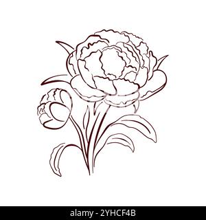 Pfingstrose Frühlingsblume im Linienstil, komplizierte Blütenblätter und natürliche Schönheit. Ideal für botanisches Design, Wanddekoration, Textil- und Naturgestaltung Stock Vektor