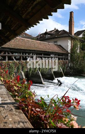 Surfer an der historischen Mühleschleuse, Thun, Schweiz *** Surfer an der historischen Mühlenschleuse, Thun, Schweiz Stockfoto