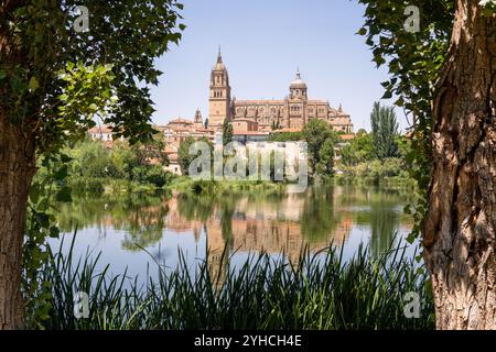 Panoramablick über die Kathedrale von Salamanca durch die Baumäste, Spanien Stockfoto