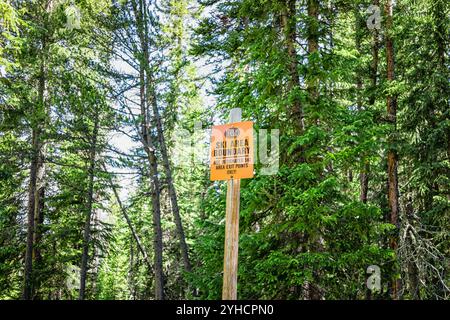 Avon, USA - 5. Juli 2022: Wanderweg Royal Elk to Beaver Lake, Beaver Creek Resort in Colorado mit Fichtenwald-Schild für die Grenze zum Skigebiet Stockfoto