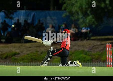 Adelaide, Australien. November 2024. Adelaide, Australien, 11. November 2024: Deandra Dottin (5 Melbourne Renegades) Fledermäuse während des Spiels der Weber Womens Big Bash League 10 zwischen Adelaide Strikers und Melbourne Renegades im Karen Rolton Oval in Adelaide, Australien (Noe Llamas/SPP) Credit: SPP Sport Press Photo. /Alamy Live News Stockfoto