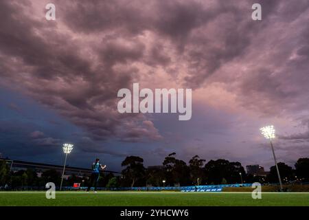 Adelaide, Australien. November 2024. Adelaide, Australien, 11. November 2024: Ein Blick in das Oval während des Spiels der Weber Womens Big Bash League 10 zwischen Adelaide Strikers und Melbourne Renegades im Karen Rolton Oval in Adelaide, Australien (Noe Llamas/SPP) Credit: SPP Sport Press Photo. /Alamy Live News Stockfoto