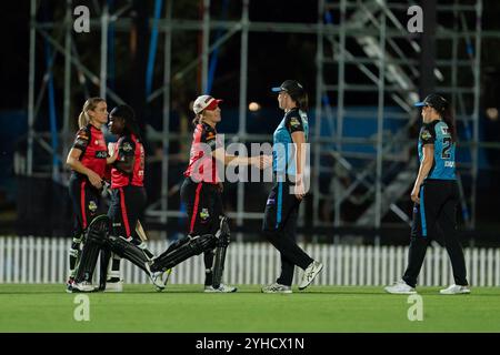 Adelaide, Australien. November 2024. Adelaide, Australien, 11. November 2024: Die Spieler der Melbourne Renegades und Adelaide Strikers schütteln die Hände während des Spiels der Weber Womens Big Bash League 10 zwischen Adelaide Strikers und Melbourne Renegades im Karen Rolton Oval in Adelaide, Australien (Noe Llamas/SPP). /Alamy Live News Stockfoto