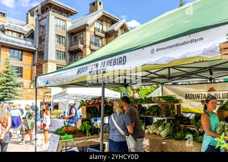 Vail, USA - 3. Juli 2022: Bauernmarkt in Colorado mit Lebensmittelverkäufern, Verkaufsstand für Mountain Bluebird Farm Stockfoto