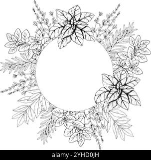 Botanische Illustrationen mit Rosmarin, Thymian, Basilikum, Lorbeer und Oregano. Schwarze Linie mit Kräutern und Gewürzen. Zwei Versionen - mit Stock Vektor