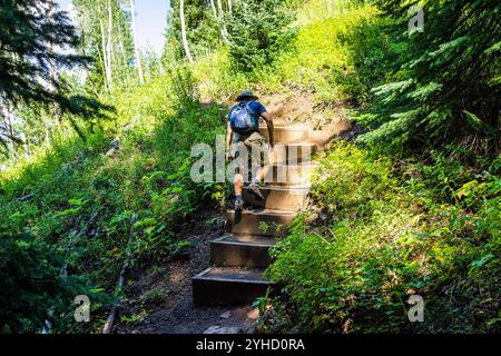 Wanderpfad, Wanderpfad für Wanderwege in Royal Elk zum Beaver Lake in Beaver Creek, Avon, Colorado im Sommer Fichtenwald Stockfoto