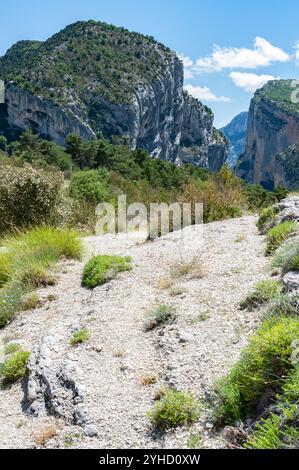 Der Blick auf die Schluchten des Verdon, eine der größten Schluchten Europas, vom Aussichtspunkt der Pointe de Sublime, Frankreich Stockfoto