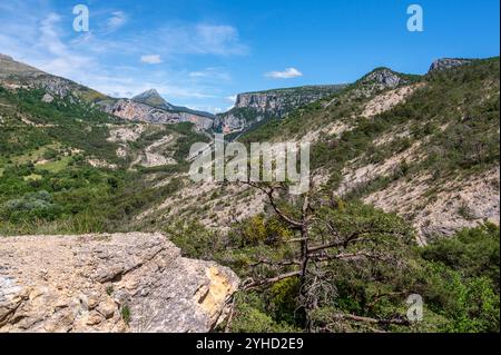 Die Schlucht des Verdon, die Schlucht des Flusses Verdon, gilt als einer der größten Schluchten Europas und touristischer Hotspot Frankreichs Stockfoto