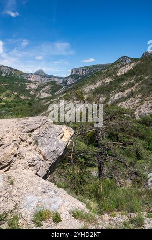 Die Schlucht des Verdon, die Schlucht des Flusses Verdon, gilt als einer der größten Schluchten Europas und touristischer Hotspot Frankreichs Stockfoto