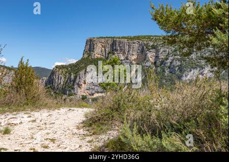 Der Blick auf die Schluchten des Verdon, eine der größten Schluchten Europas, vom Aussichtspunkt der Pointe de Sublime, Frankreich Stockfoto