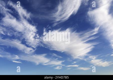 Weiße Zirruswolken am blauen Himmel, Zirruswolken aus Eiskristallen, die von Höhenwinden ausgefranst werden. Weiße Zirruswolken am blauen Himmel. Cirruswolken sind dünn Stockfoto